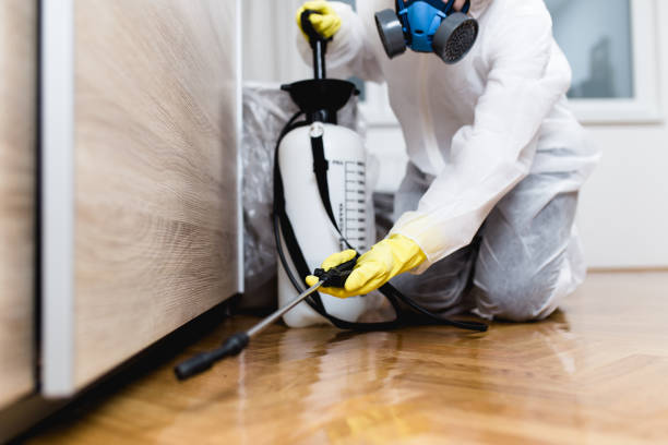 Pest Control for Restaurants in Lakehills, TX