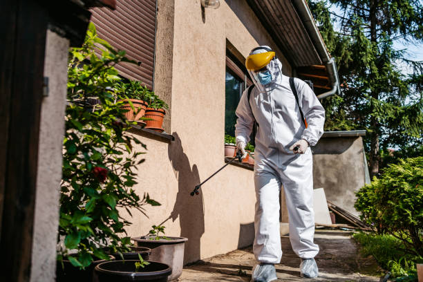 Pest Control Cost in Lakehills, TX