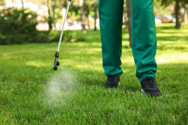Trusted Lakehills, TX Pest Control Experts