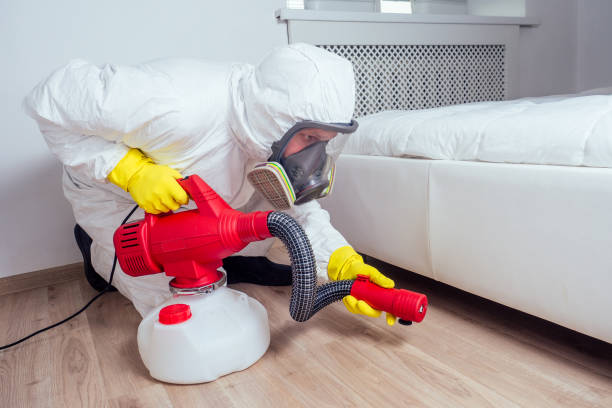 Flea Control Services in Lakehills, TX
