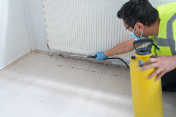 Best Residential Pest Control  in Lakehills, TX