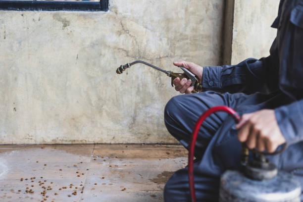 Best Exterminator Services  in Lakehills, TX